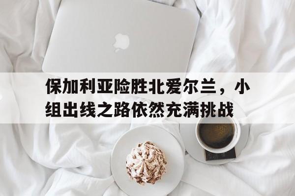 电子竞技体育博彩网站-保加利亚险胜北爱尔兰，小组出线之路依然充满挑战
